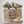 Load image into Gallery viewer, Air Mail - Mini French Market Tote
